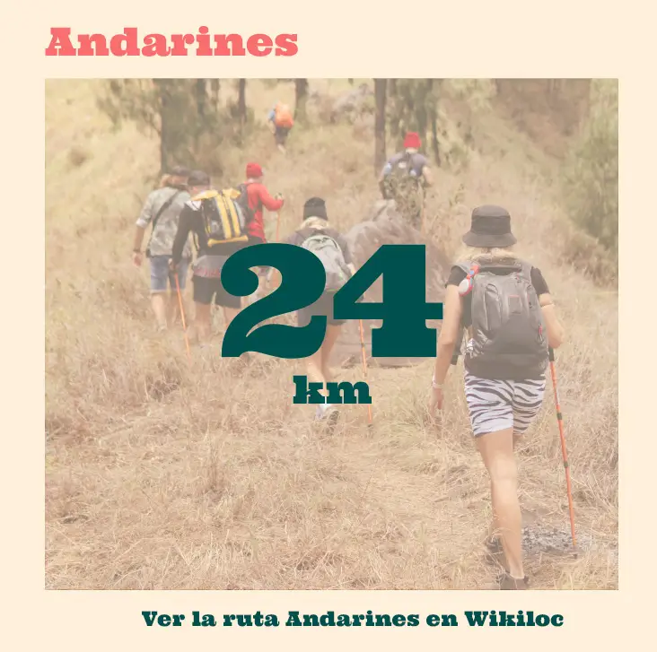 Ver ruta andarines